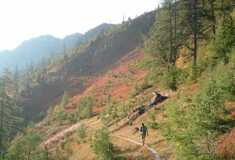 酒店 Hôtel Spa La Cascade