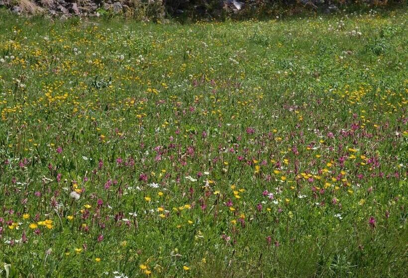 酒店 Hôtel Spa La Cascade