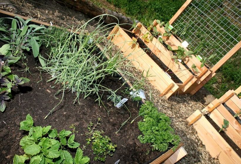 בית מלון כפרי La Croix De Savoie & Spa