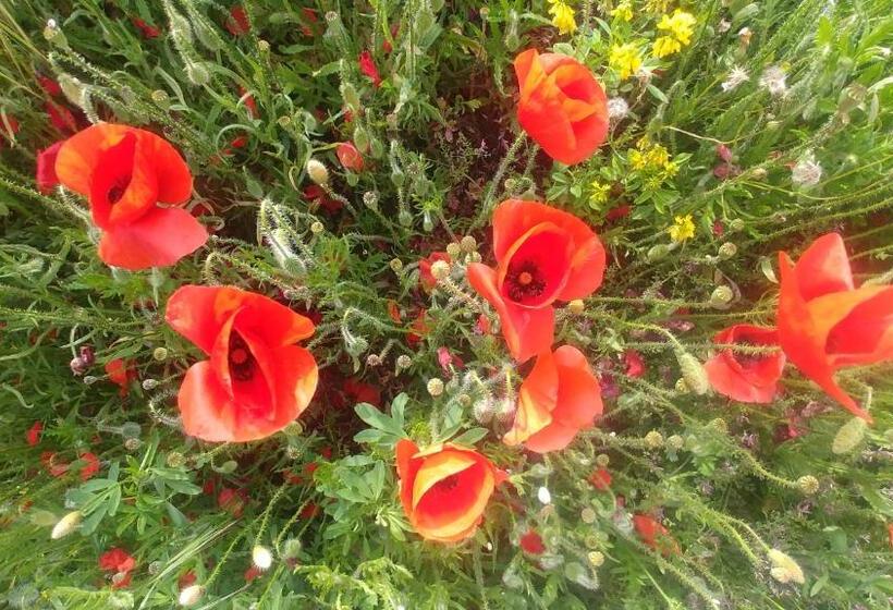 فندق L'aiguebelle