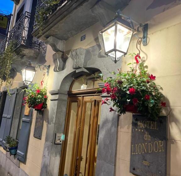 酒店 Le Lion D Or