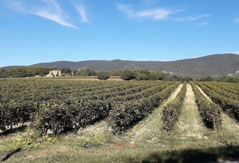 فندق Le Mas Du Colombier