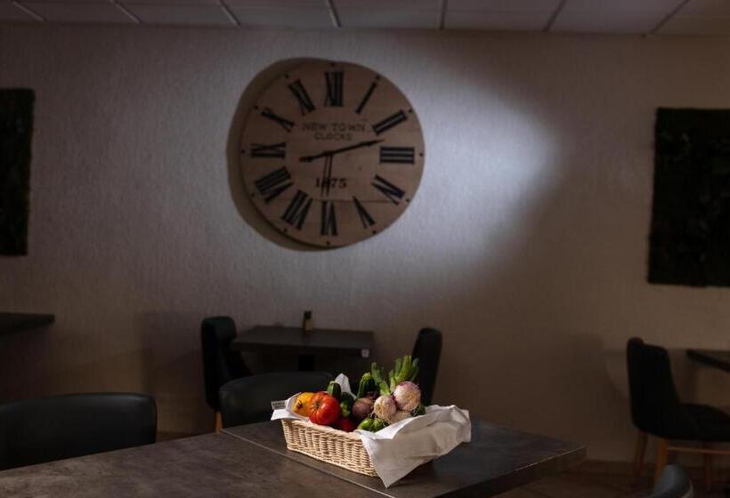 فندق Le Regina Hôtel Et Restaurant Canet Plage