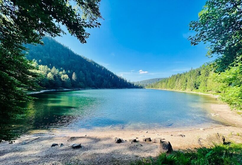 Hotel Logis Hôtel, Chalets Et Restaurant Les Chatelminés