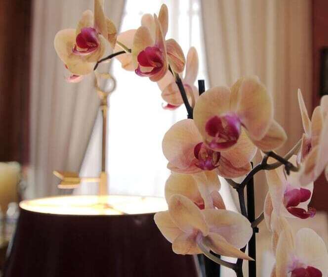 Отель Logis Hôtel Beau Site