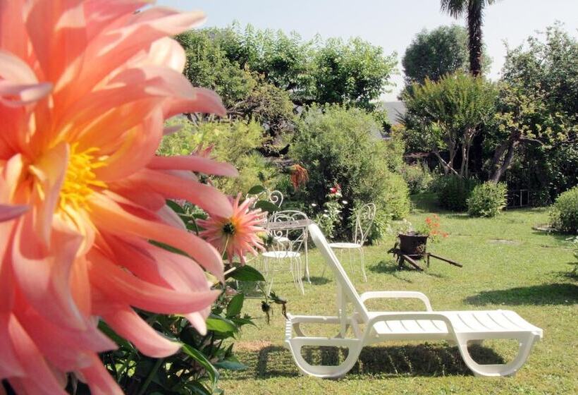 Отель Logis Hôtel Beau Site