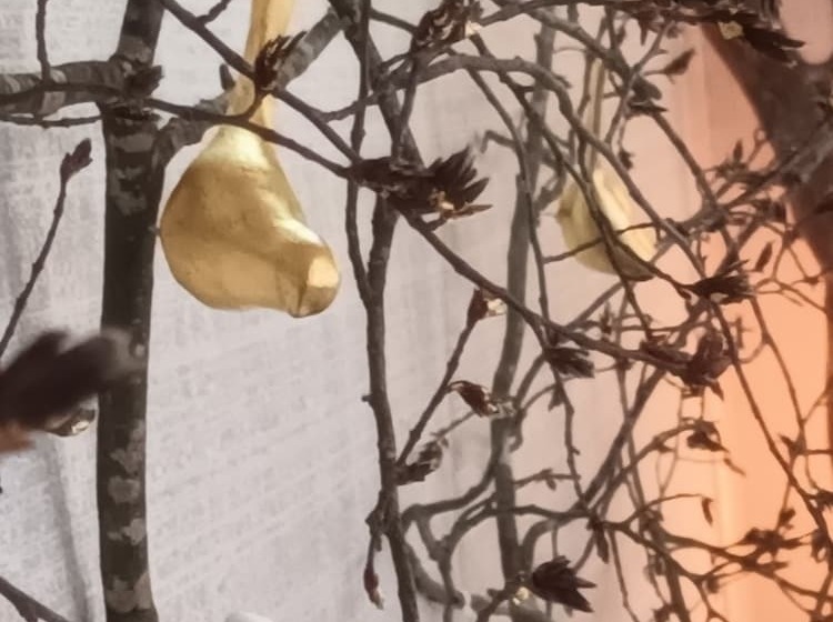 בית מלון כפרי La Breche