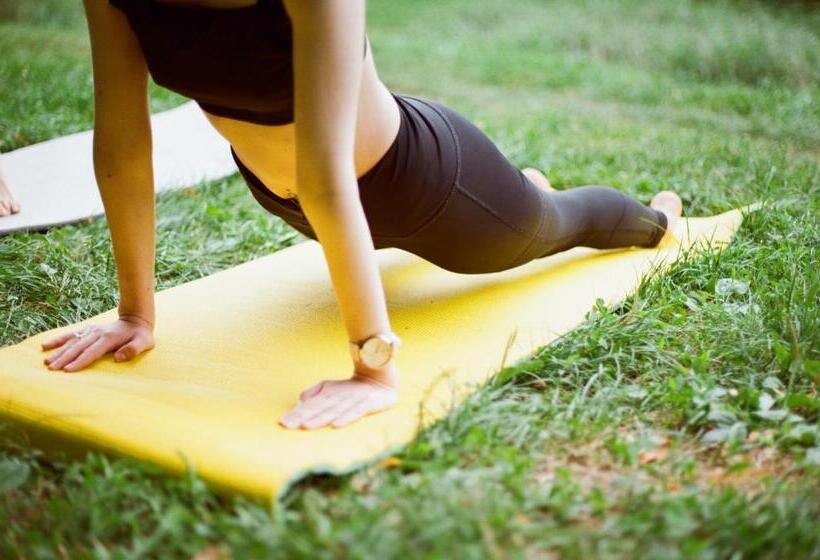 فندق Logis Hôtel St Sylvestre