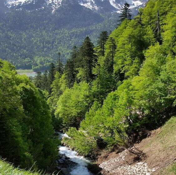 ホテル Logis L Ayguelade