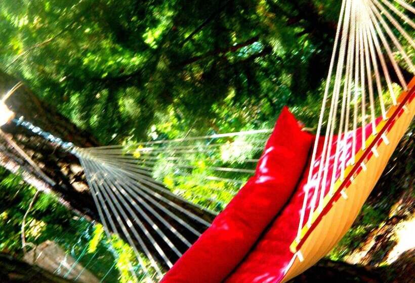 בית מלון כפרי Logis Hôtel Restaurant Des Pins