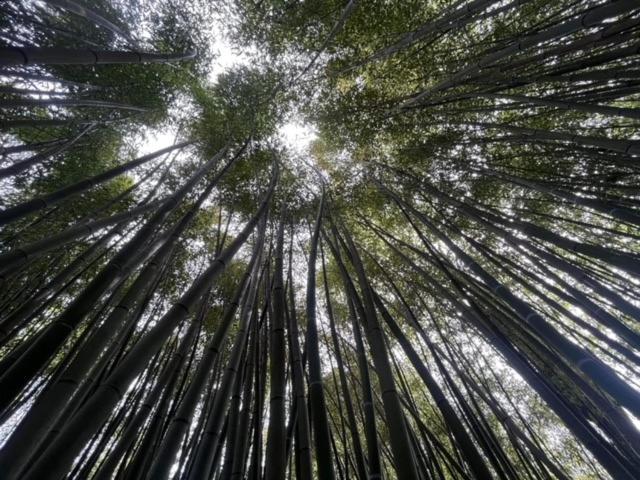 Logis Hotel Restaurant Le Domaine De La Régalière