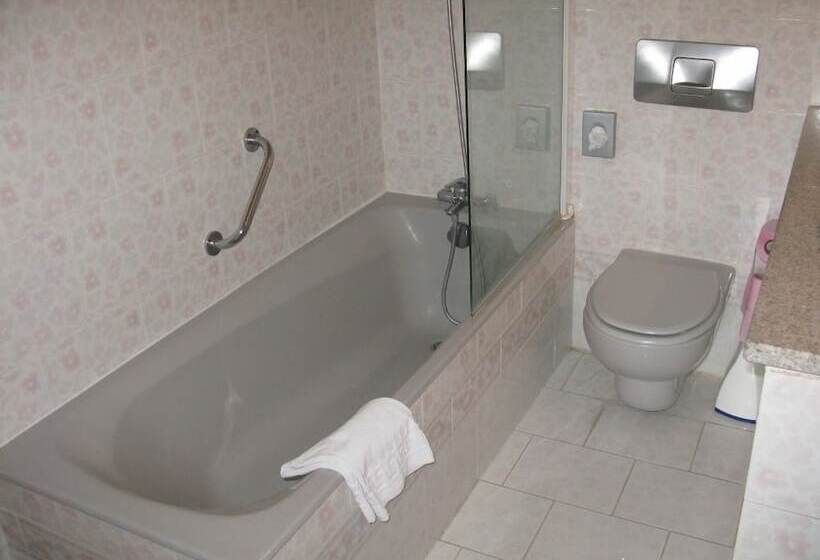 Отель Logis Hôtel Restaurant Les Géraniums