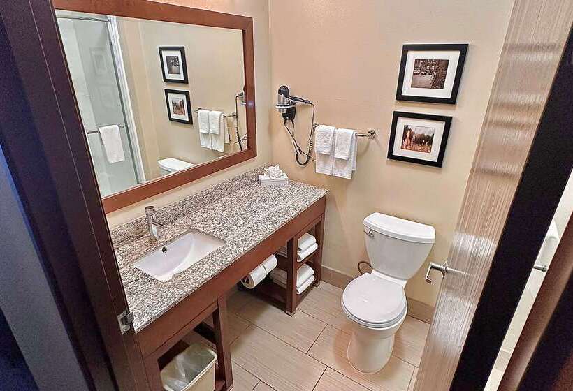 هتل Baymont By Wyndham Phoenix North