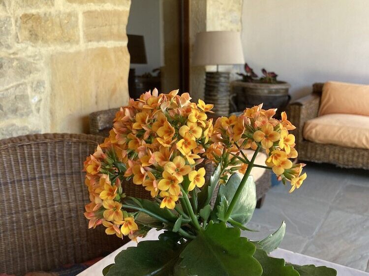 בית מלון כפרי Posada La Casona De Los Güelitos