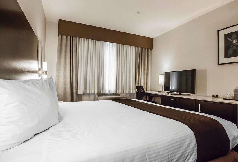 Quality Hotel Airport South