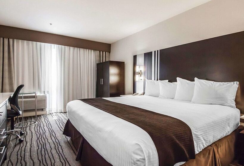 Quality Hotel Airport South