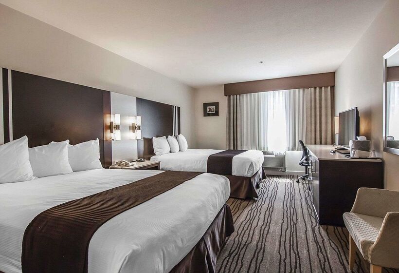 Quality Hotel Airport South