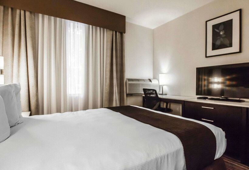 Quality Hotel Airport South