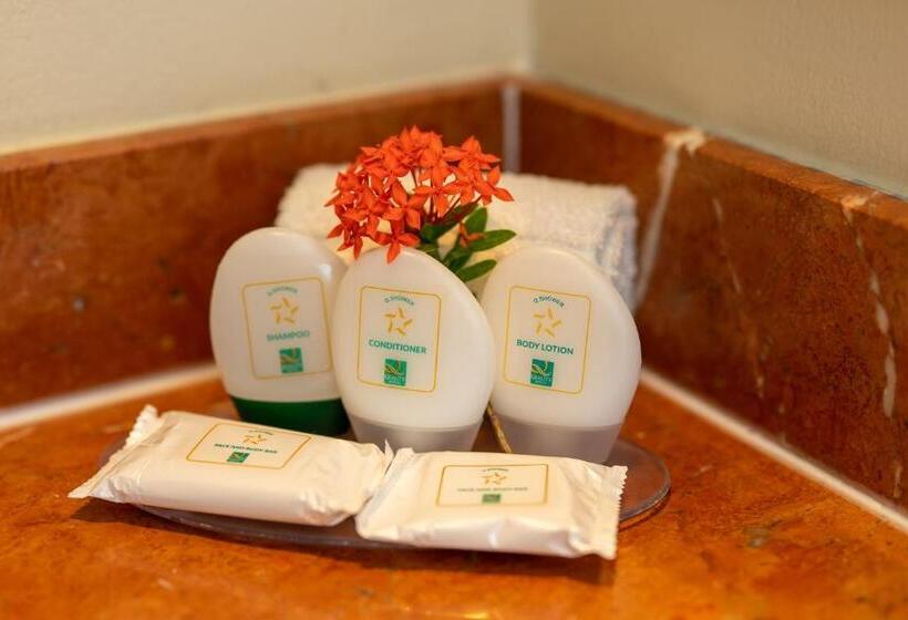 Quality Hotel Real Aeropuerto San Salvador