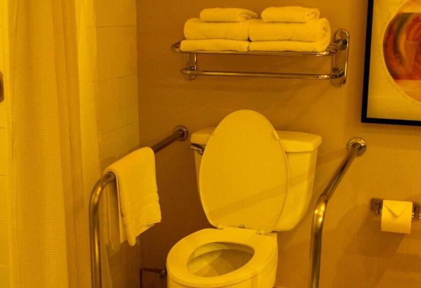 בית מלון כפרי Four Points San Jose Costa Rica