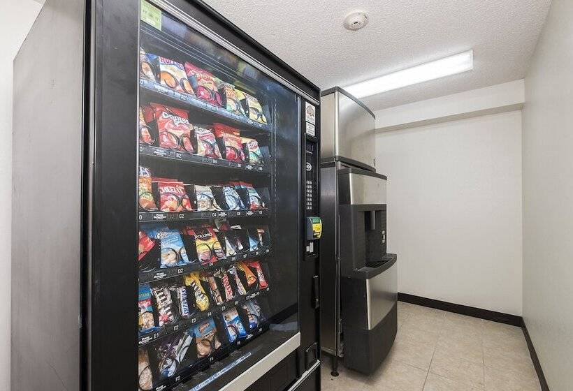 בית מלון כפרי Red Roof Inn Evergreen