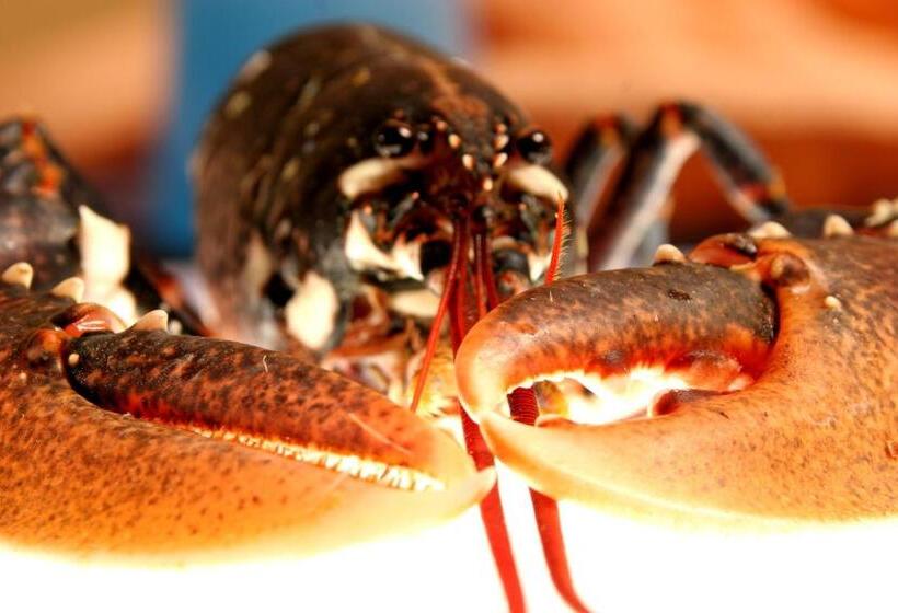 בית מלון כפרי Restaurant Le Strasbourg