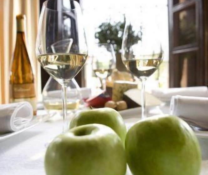 乡村酒店 Posada Santa Ana