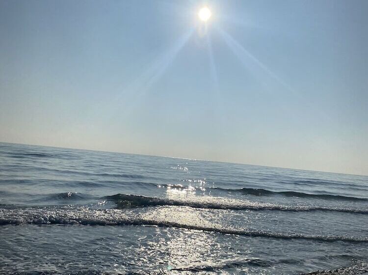 호텔 Saint Georges, Face A La Mer