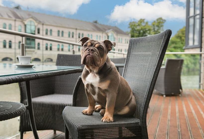 فندق The Riverside