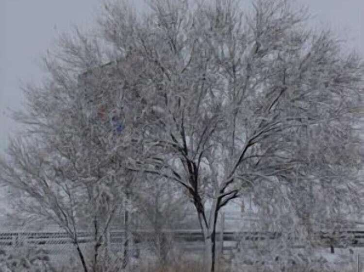 فندق Vista Nevada