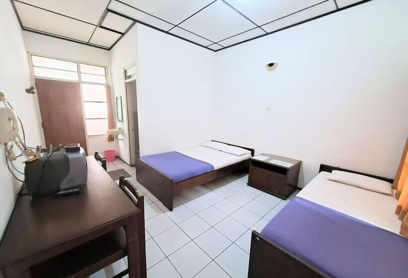 בית מלון כפרי Satriafi