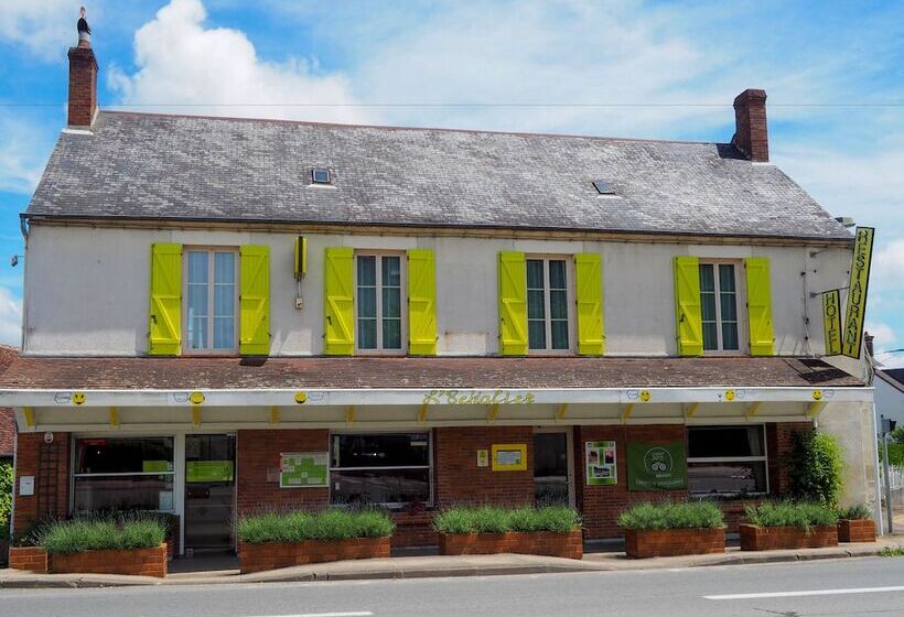 Appart Hotel Wombat And Wallaby