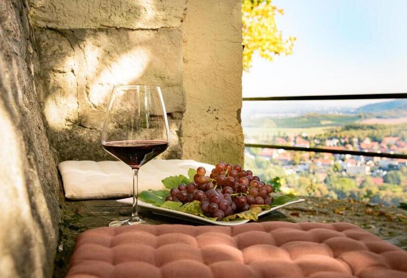 Berghotel Wilhelmsburg