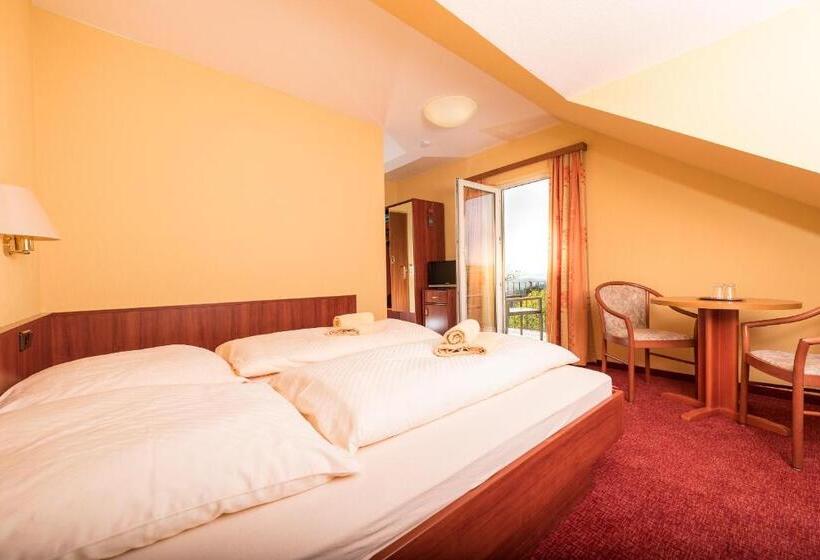 Berghotel Wilhelmsburg