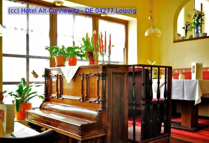 酒店 Alt Connewitz