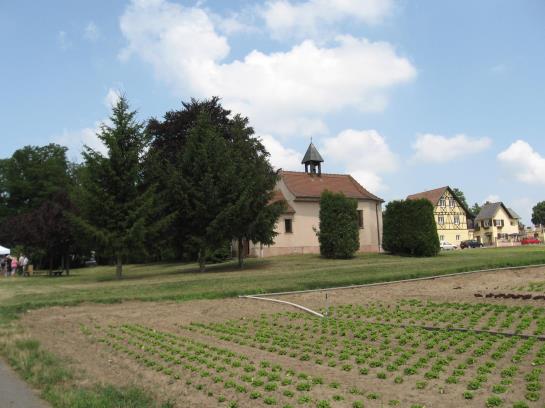 Hotel au Cep de Vigne