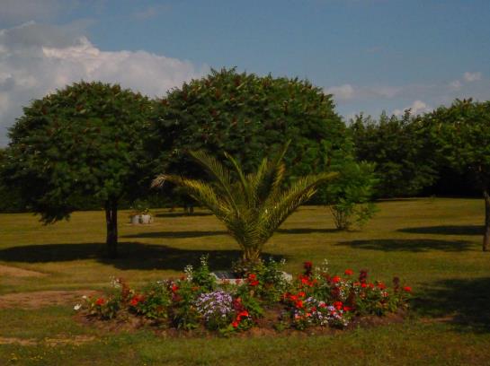 Hotel au Cep de Vigne
