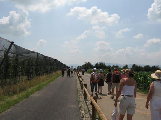 Hotel au Cep de Vigne