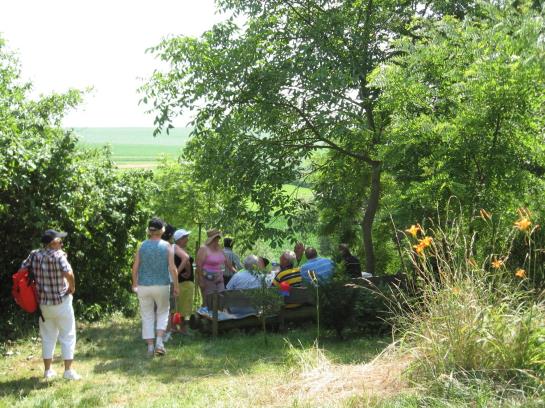 Hotel au Cep de Vigne