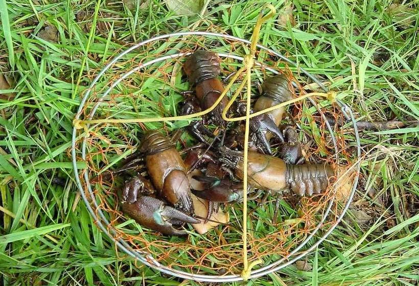 فندق Auberge D Andaines