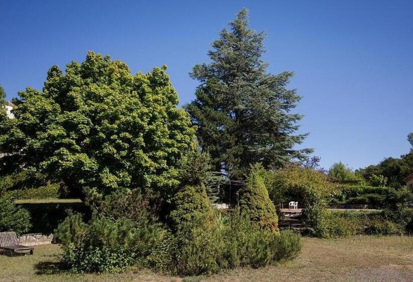 ホテル Auberge de l'Escargot d'Or