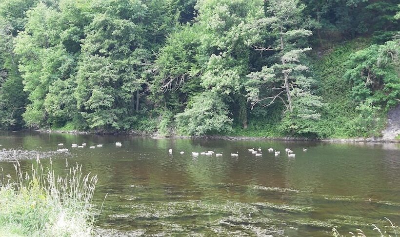 فندق Auberge En Ardenne