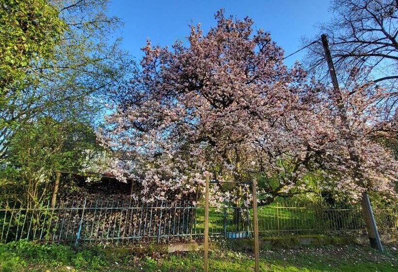호텔 Bergischer Hof   Bergischer Hofgarten