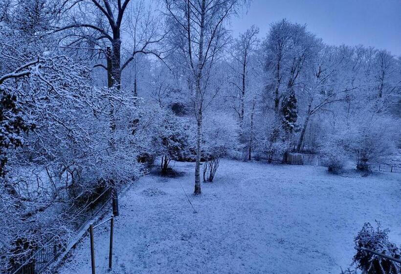 호텔 Bergischer Hof   Bergischer Hofgarten