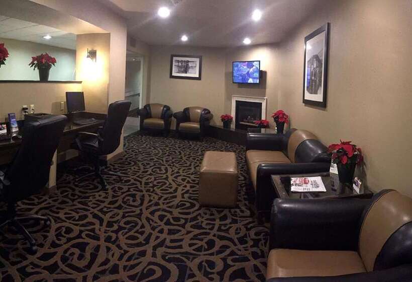 酒店 Best Western Executive Inn & Suites