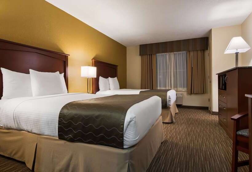 호텔 Best Western Executive Inn & Suites