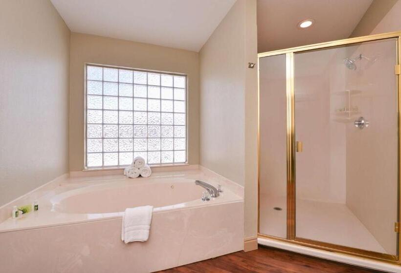 Отель Best Western Executive Inn & Suites