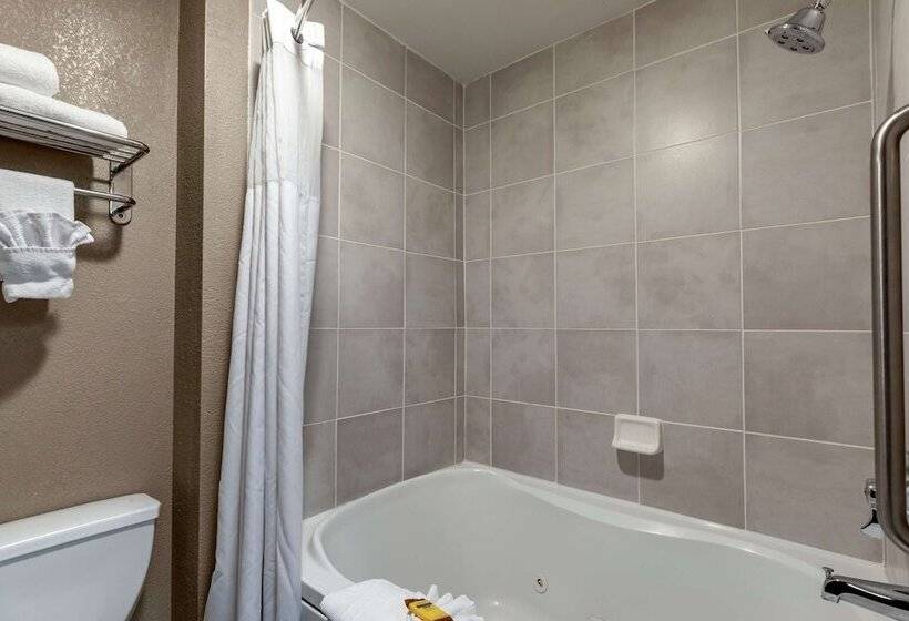 فندق Best Western Plus Boulder Louisville