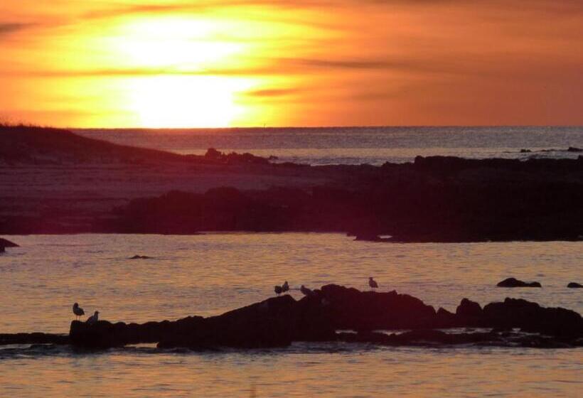 فندق Castel Moor