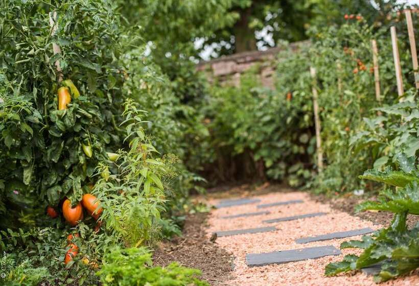 בית מלון כפרי Chez La Rose